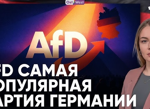 Готовилась к 14 февраля и обнаружила вот такие игрушки-подушки от одного российского бренда.