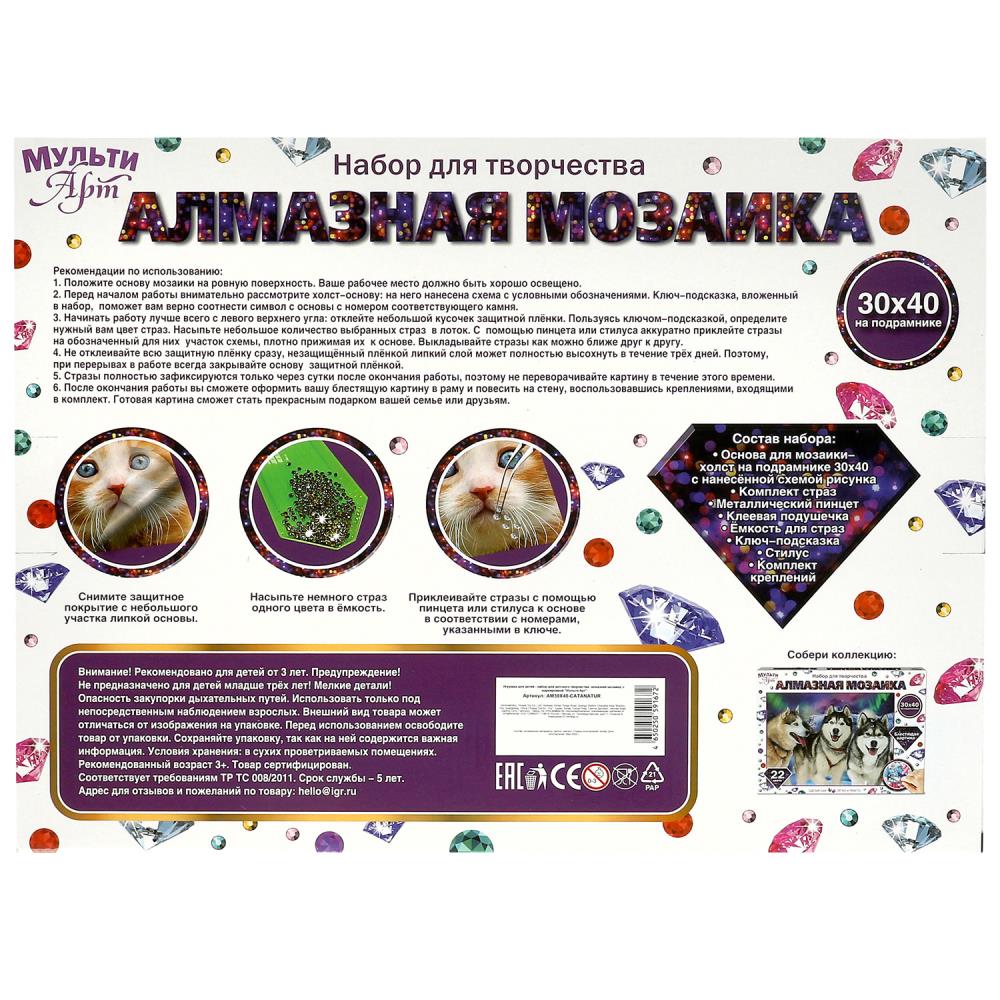 Алмазная мозаика 30 х 40 см 